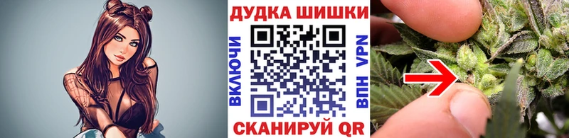 Конопля планчик  Почеп 